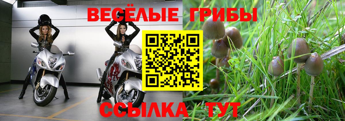 купить наркоту  Галлюциногенные грибы ЛСД  Вход с VPN  Балашиха 